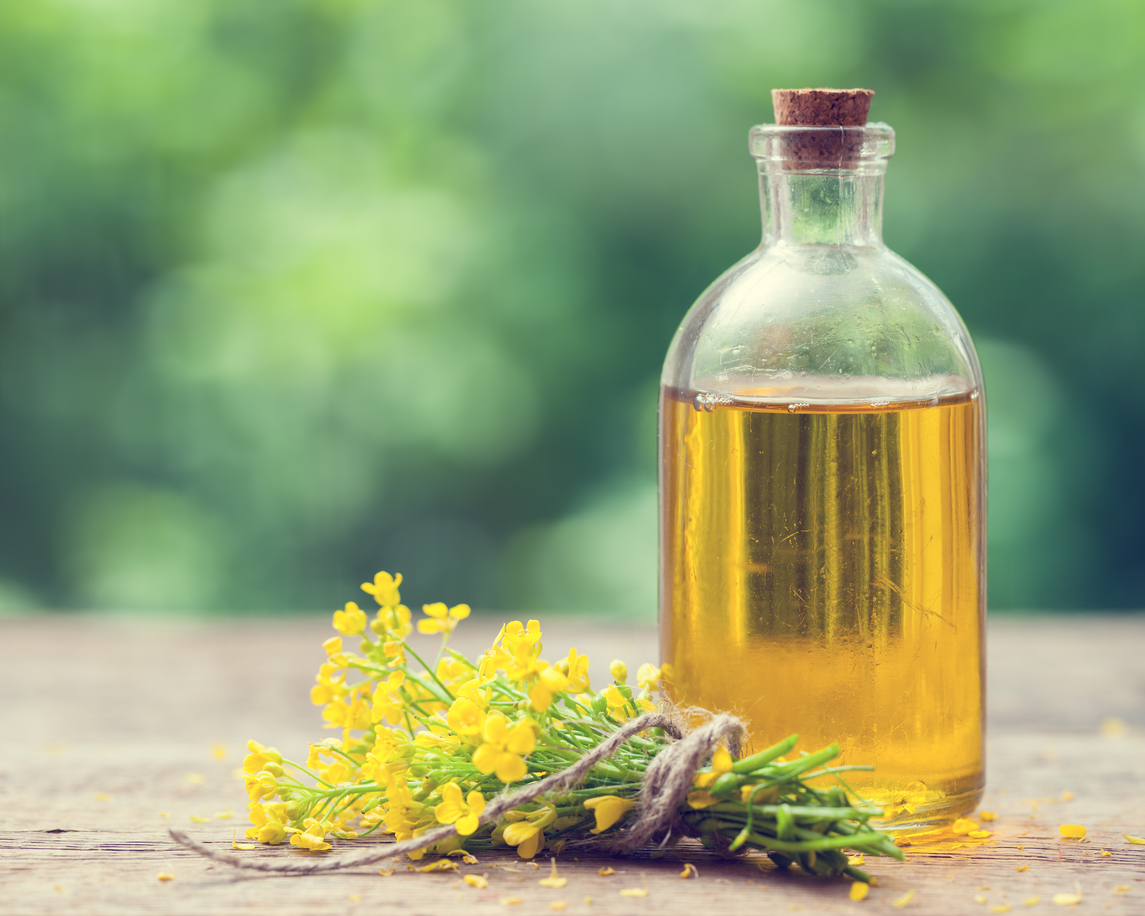 Bottle of grapeseed oil (canola) and grape flowers bunch on table outdoors
